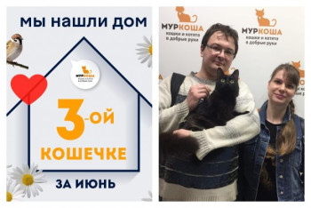 Черносливка отправляется в счастливую домашнюю жизнь!
