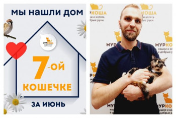 Почемучка нашла дом за два месяца!