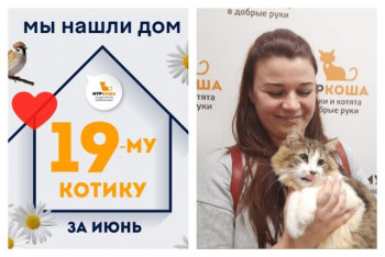 Котик Лемар начинает счастливую жизнь дома!
