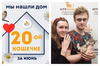 Крошка Гэбби стала домашней всего за три дня!