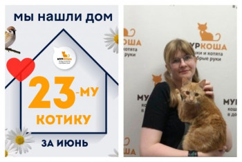 У котика Крекера теперь есть дом и семья!