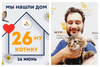 Котик Петруха отправился в счастливую домашнюю жизнь!