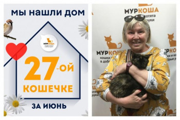 Кошечка Барси стала домашней любимицей!