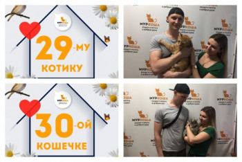 Кошечка Дарнателла и котик Иско уезжают в один дом!