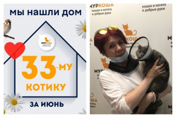 Котик Челентано начинает новую жизнь!