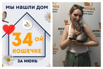 Малышка Монополия стала домашней за месяц!