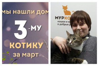 Котик Пуговкин начинает счастливую домашнюю жизнь!