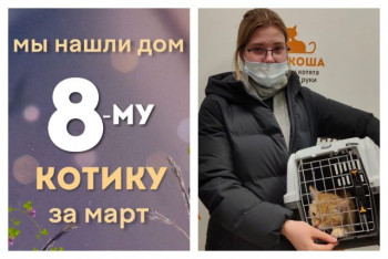 Котёнок Мажителькин начинает счастливую домашнюю жизнь!