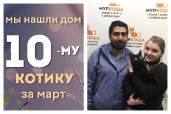 Котик Зизи стал домашним всего за месяц!