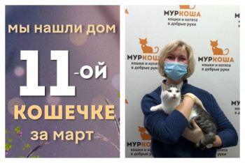 У кошечки Неженки появились дом и семья!