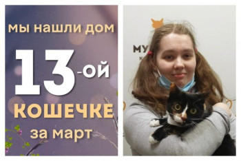 Прекрасная кошечка Афродита отправилась домой!