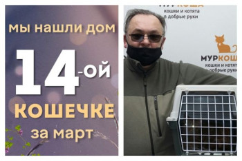 Рыженькая Цаца стала домашней за один месяц!