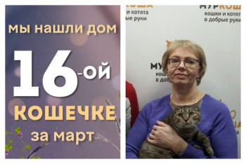 У миленькой Хойи появилась дом и семья!