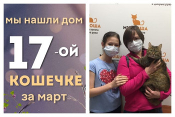 Кошечка Тата начинает жизнь с чистого листа!
