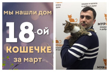 Кошечка Ваниль отправляется домой!