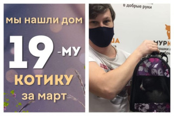 Юный котик Мемфис встретил надежных хозяев!