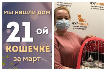 Кошечка Есения начинает домашнюю и счастливую жизнь!