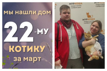 Котик Версаль стал домашним любимцем!