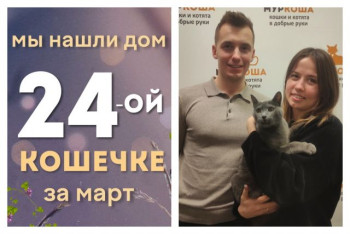 Кошечка Фисташка встретила ответственных хозяев!