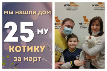 Белоснежный котик Бланко отправляется домой!