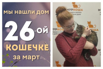 Кошечка Тулия встретила надежную хозяйку!