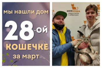 Кошечка Матата получила новый шанс на домашнее счастье!