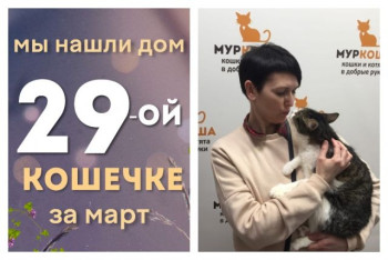 У кошечки Беатрис появилась заботливая хозяйка!