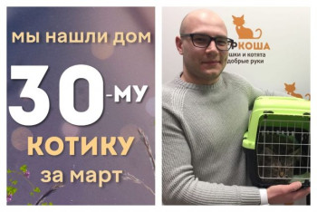 Очаровательный Мимимишка стал домашним котиком!