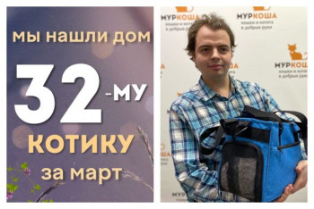 Котик Сармат стал домашним любимцем!