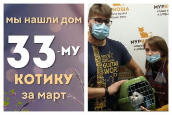 У котика Курска появилась любящая семья!