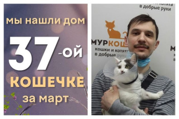 Малышка Юми нашла дом за две недели!
