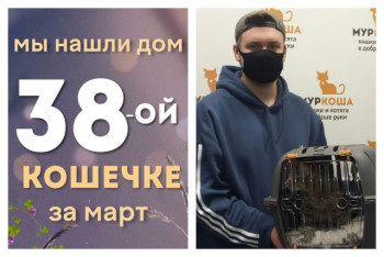 Кошечка Лаффи Таффи обрела домашнее счастье!