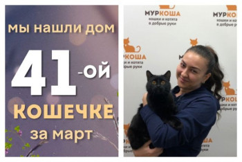 Кошечка Маргарет рада познакомить со своей хозяйкой!