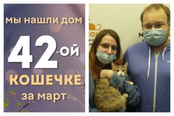 У кошечки Чечевички теперь есть дом и семья!