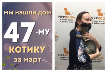 Котенок Щелкунчик познакомился со своей хозяйкой!
