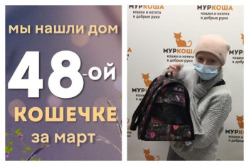 Кошечка Монна стала домашней любимицей!