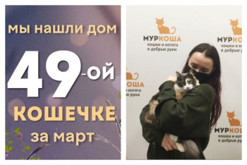 Кошечка Александрия отправилась в домашнее королевство!