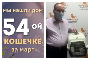 Кошечка Антонина Петровна стала домашней любимицей!