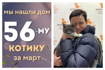 Котик Леонардо стал домашним и счастливым!