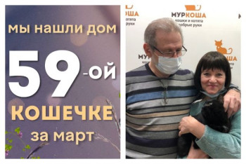 Кошечка Паслёнка стала домашней за полтора месяца!