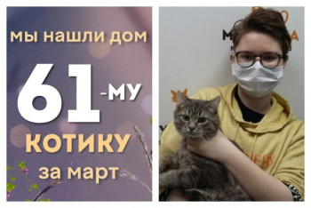 Котик Тулупчик отправляется домой!