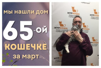 Кошечка Скифа стала домашней любимицей!