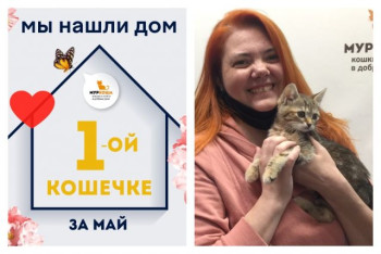 Малышка Фамке нашла дом за одну неделю!