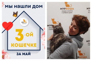 Красавица Розалинда стала домашней любимицей!