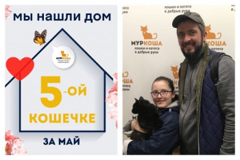 У кошечки Деметры теперь есть дом и семья!