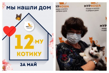 Котик Потягуш начинает домашнюю жизнь!