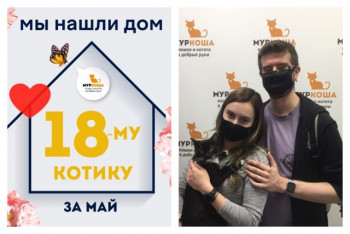 Котик Ястреб познакомился со своими хозяевами!