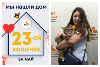 Очаровательная Вива начинает домашнюю жизнь!