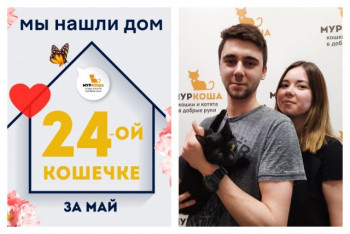 Милая Лерочка стала домашней и счастливой!