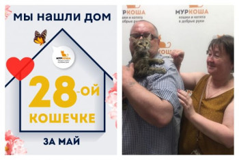 У кошечки Аграфены теперь есть дом и семья!